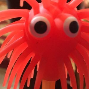 Meet your Posher, Ann